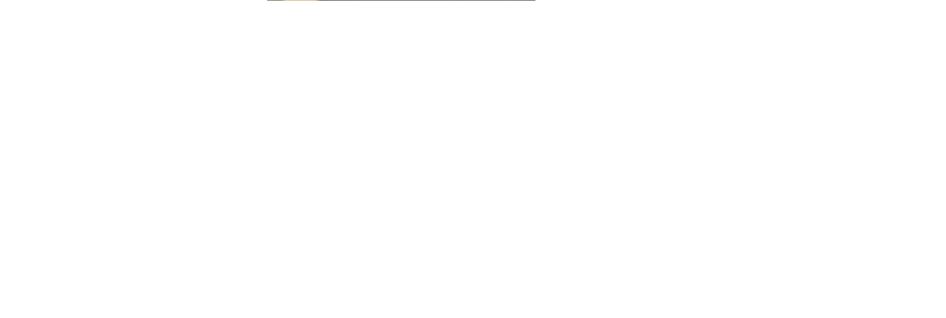 Emporium Developers